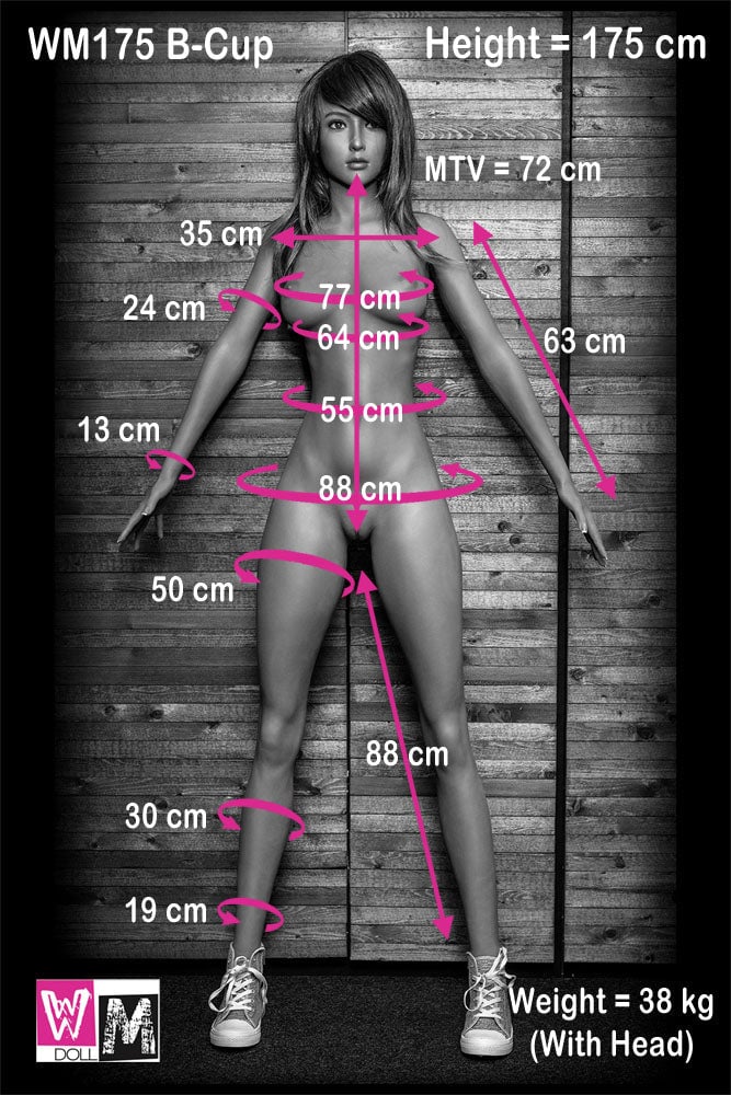 5'9" (175cm) - B-Cup Body
