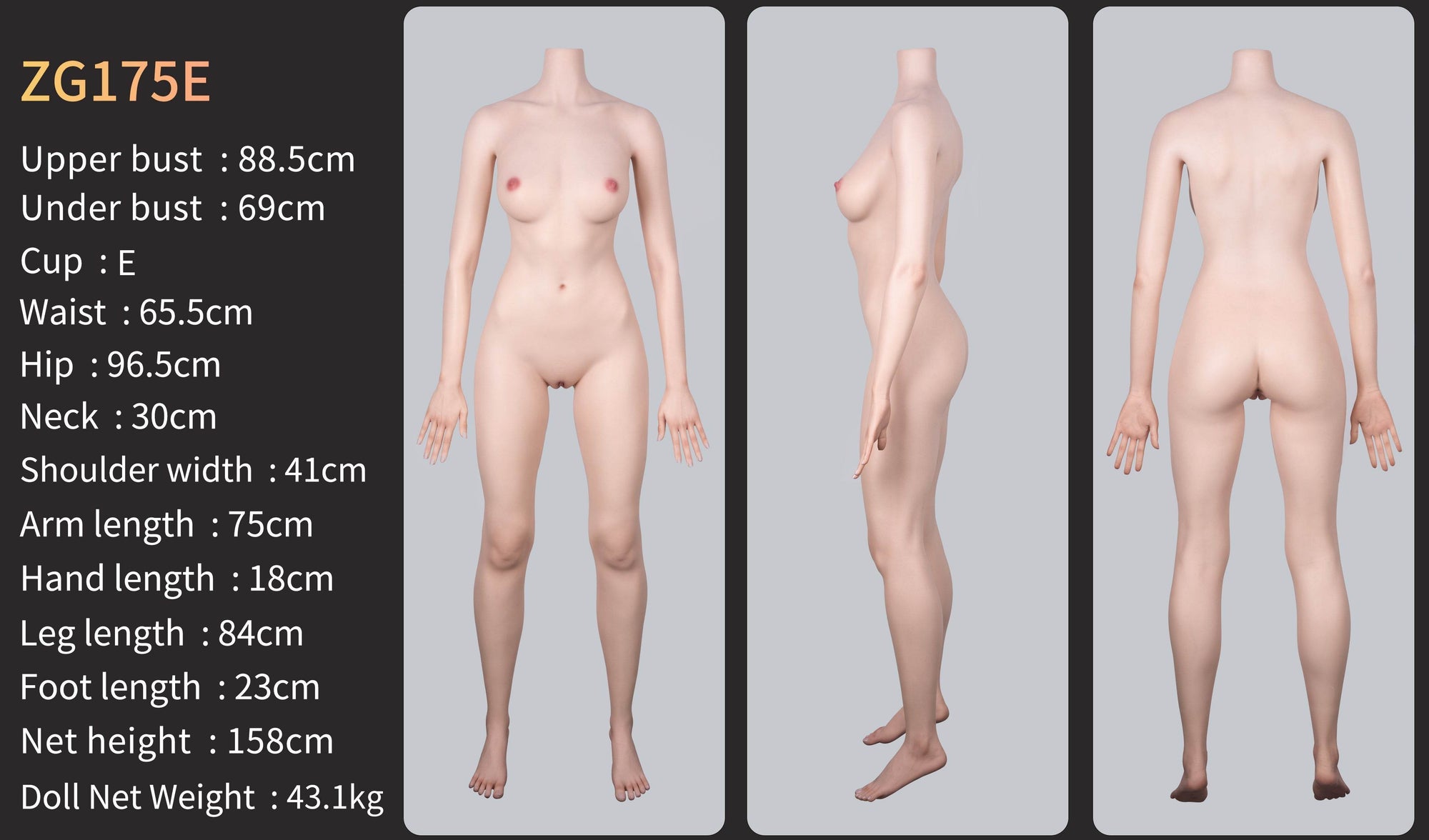Ella (Movable Jaws Version)ZG175E-175cm E Cup Fair Skin Sex Doll GE113-1 - SEX LOVE DOLLS